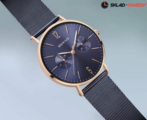 Женские Bering Classic 14236-367 фото фото 2