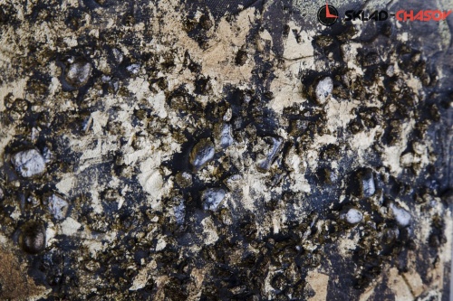 Картина Tomas Stern 85010 фото фото 4