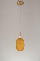 Светильник подвесной Arti Lampadari Magliano E 1.P2 Y фото