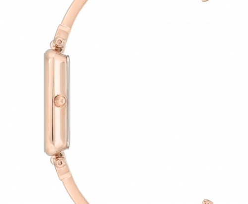 Anne Klein 3636BHRG фото фото 3