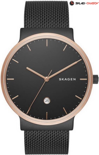 Мужские Skagen Mesh SKW6296 фото