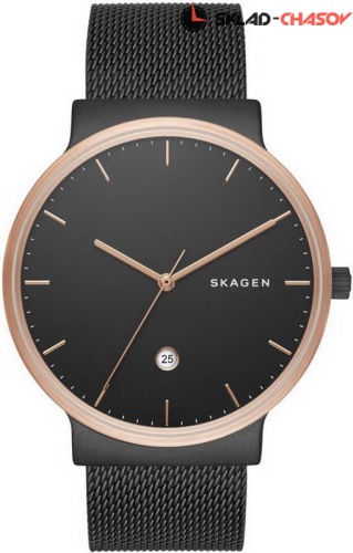 Мужские Skagen Mesh SKW6296 фото