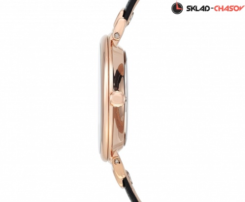 Anne Klein 2666RGBK фото фото 4