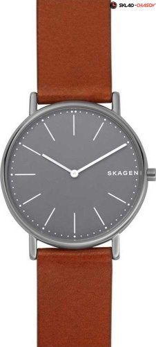 Мужские Skagen Leather SKW6429 фото