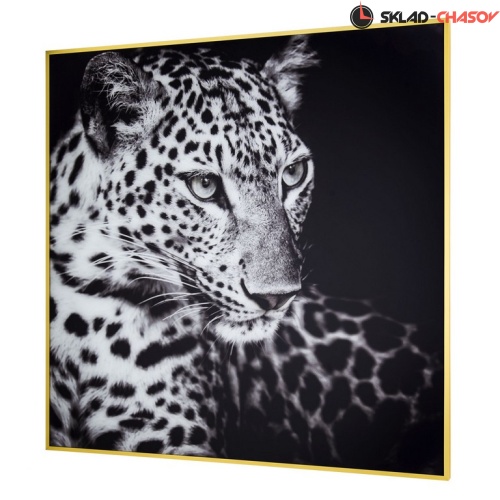 Картина Tomas Stern 87021 фото