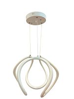 Подвесной светодиодный светильник Arti Lampadari L382a-tt44-g фото