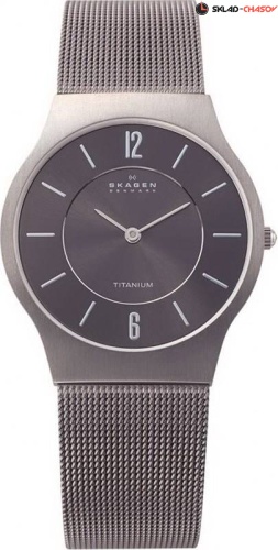 Мужские Skagen Mesh Titanium 233LTTM фото