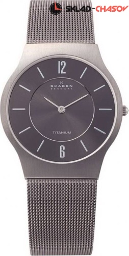 Мужские Skagen Mesh Titanium 233LTTM фото