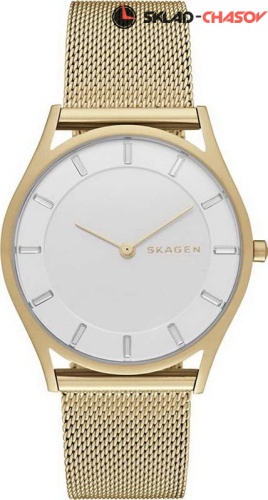 Женские Skagen Mesh SKW2377 фото