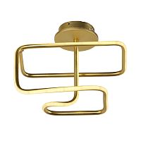 Потолочный светодиодный светильник Arti Lampadari Angelo L 1.2.35.07 G фото