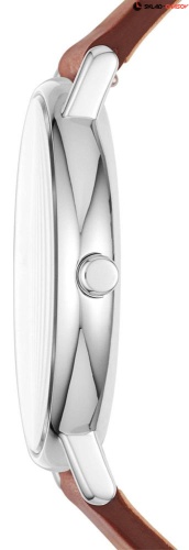 Мужские Skagen Leather SKW6355 фото фото 2