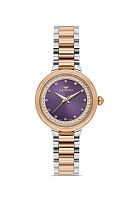 Наручные часы FERRO FL21493AWT-E13 фото