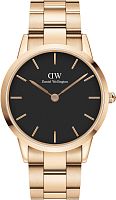 Daniel Wellington DW00100344 фото