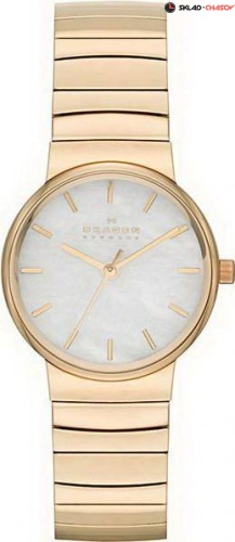 Женские Skagen Links SKW2199 фото