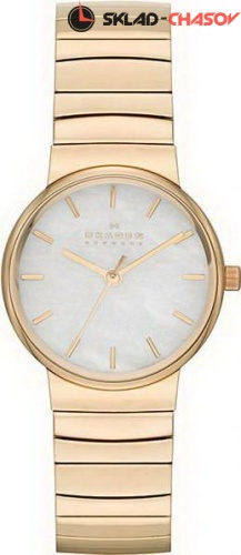 Женские Skagen Links SKW2199 фото