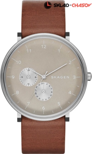 Мужские Skagen LEATHER SKW6168 фото