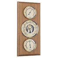 Tomas Stern 2016 фото