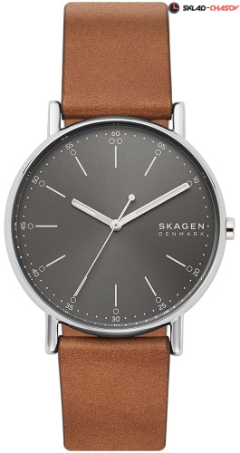 Мужские Skagen Signatur SKW6578 фото