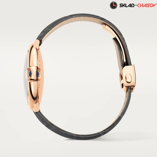 Часы Cartier Ballon Bleu de Cartier WGBB0050 фото фото 4