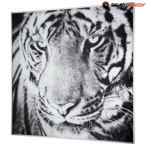 Картина Tomas Stern 87020 фото