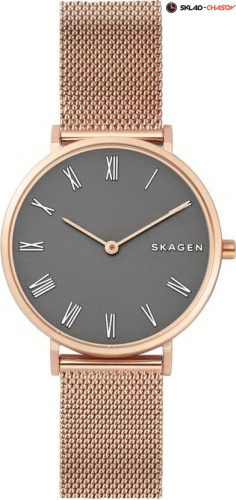 Женские Skagen Mesh SKW2675 фото