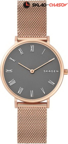 Женские Skagen Mesh SKW2675 фото