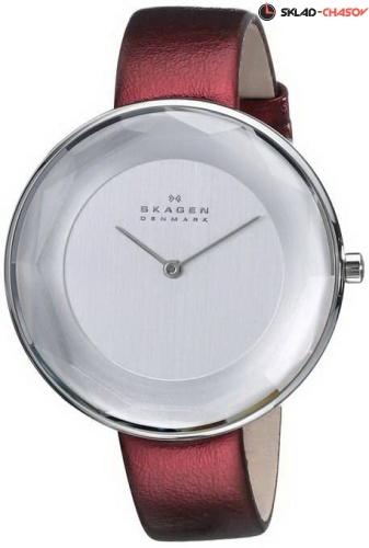 Женские Skagen LEATHER SKW2273 фото фото 2