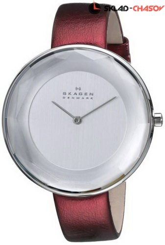 Женские Skagen LEATHER SKW2273 фото фото 2