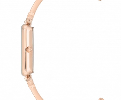 Anne Klein 3636WTRG фото фото 3