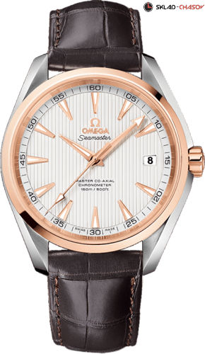 Omega 23123422102001 фото