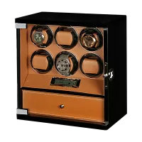 Шкатулка для автоподзавода 6-ти часов Diamond DX-6-BBR-FI фото