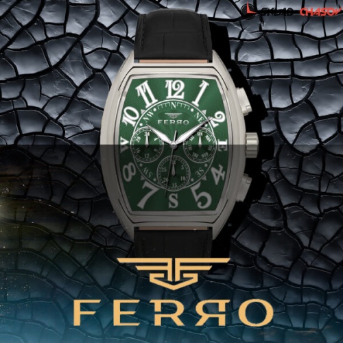 Наручные часы FERRO FM11447BWT-J10 фото фото 4