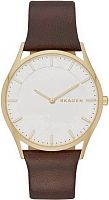 Мужские Skagen LEATHER SKW6225 фото