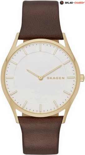 Мужские Skagen LEATHER SKW6225 фото