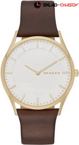 Мужские Skagen LEATHER SKW6225 фото
