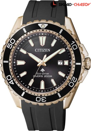 Мужские Citizen Elegance BN0193-17E фото