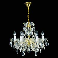 Wranovsky Classe 6 Gold фото
