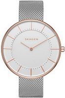 Женские Skagen Mesh SKW2583 фото