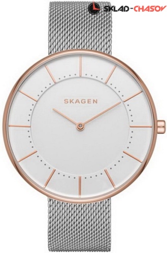 Женские Skagen Mesh SKW2583 фото