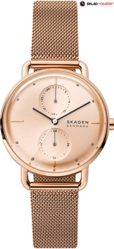 Skagen Horizont SKW2931 фото