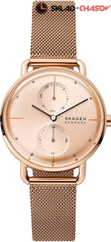 Женские Skagen Horizont SKW2931 фото