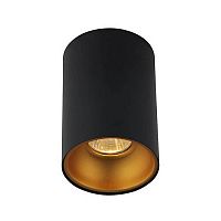 Потолочный светильник Crystal Lux CLT 411C BL-GO фото