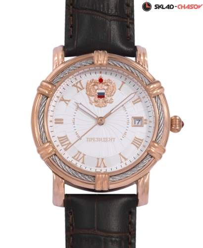 Президент 4459471 фото