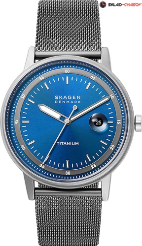 Skagen Henricksen SKW6754 фото