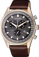Мужские Citizen Eco-Drive AT2393-17H фото