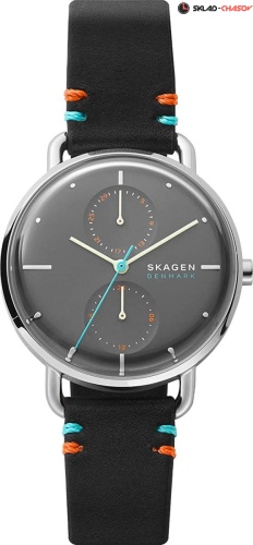 Женские Skagen Horizont SKW2930 фото
