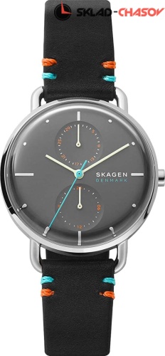 Женские Skagen Horizont SKW2930 фото