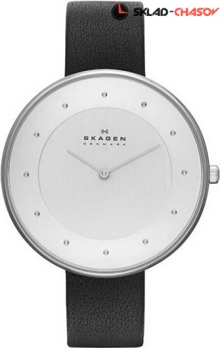 Женские Skagen LEATHER SKW2232 фото