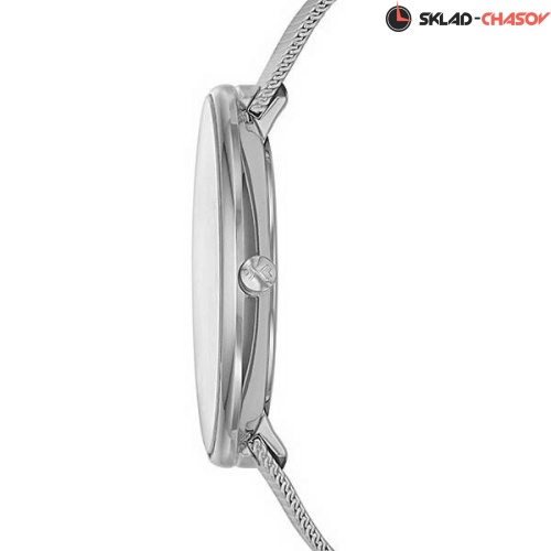 Женские Skagen Mesh SKW2140 фото фото 2