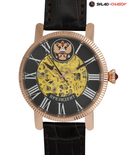 Президент 4509161 фото